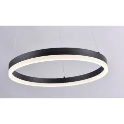 Paul Neuhaus Titus LED Riippuvalaisin -Sisustusvalo Kauppa 4012248305140 3