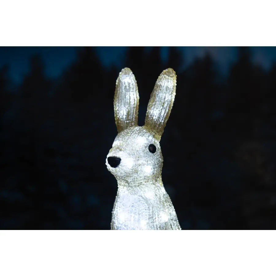 Finnlumor 32cm Led Akryylijänis 4 Finnlumor 32cm Led Akryylijänis - Image 2