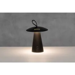 Finnlumor Sieni Paristovalaisin