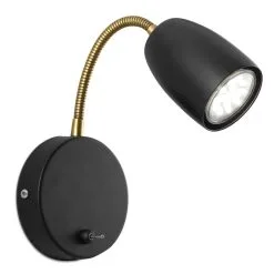 Sessak Colin 1-os Mattamusta Seinävalaisin