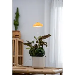 Airam Iris IP20 5W 240lm Keltainen Kasvivalo 7 Airam Iris IP20 5W 240lm Keltainen Kasvivalo -Sisustusvalo Kauppa 6435200292643 2