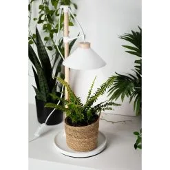 Lumio Lights Table Kasvivalo -Sisustusvalo Kauppa 6438014316581 3