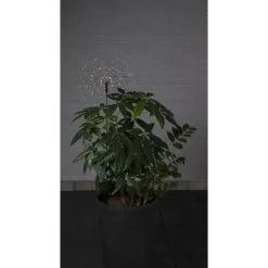 Star Firework Solar 90 Led Aurinkokennovalaisin -Sisustusvalo Kauppa 7391482033130 2