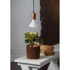 Star E27 PAR38 1700lm Led Kasvilamppu -Sisustusvalo Kauppa 7391482039729 3