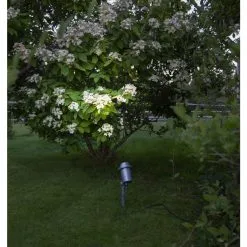 Star Trading Spotlight Focus 30cm Puurhavalaisin -Sisustusvalo Kauppa 7391482056993 3